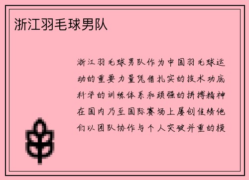 浙江羽毛球男队